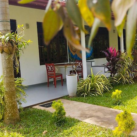Bed and Breakfast Eco Nest Marakolliya Tangalle Zewnętrze zdjęcie