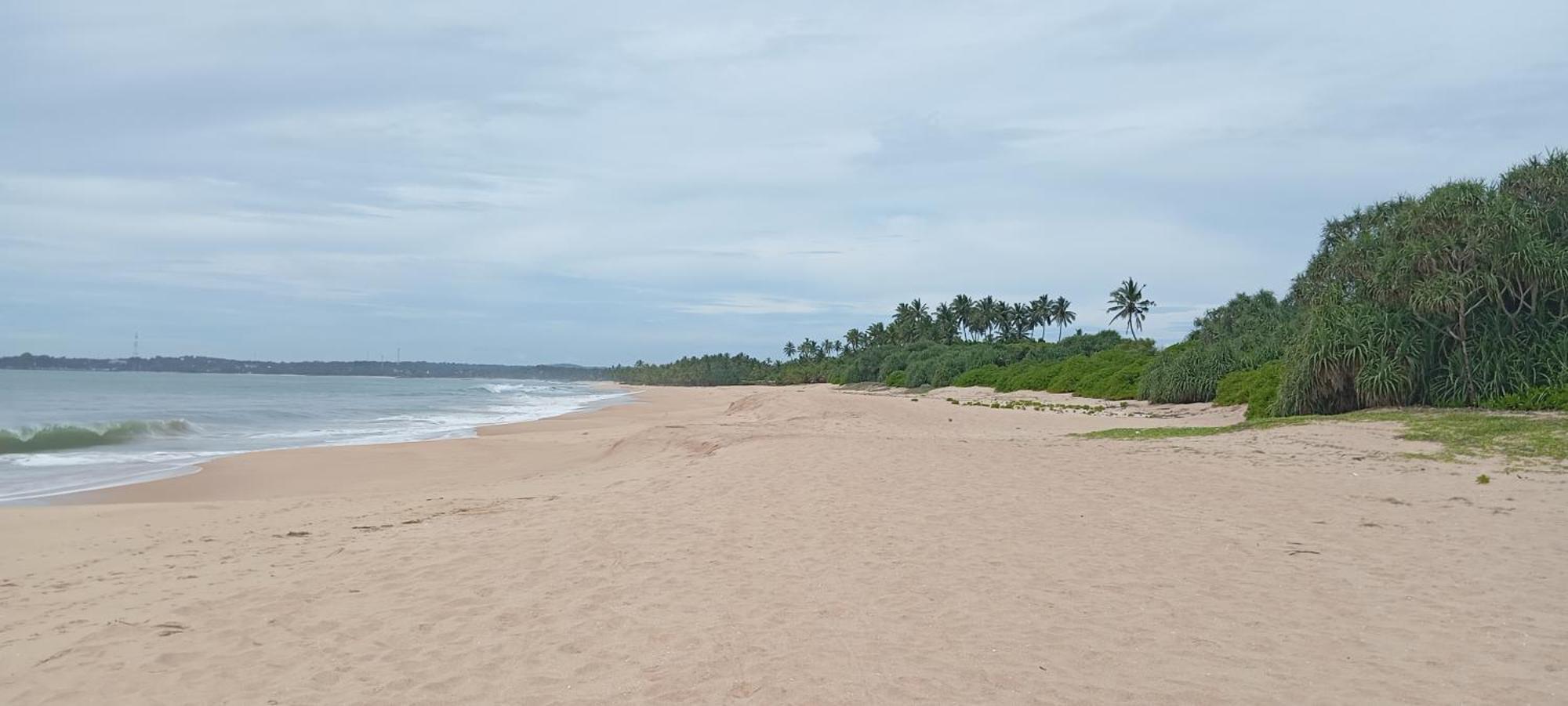 Bed and Breakfast Eco Nest Marakolliya Tangalle Zewnętrze zdjęcie
