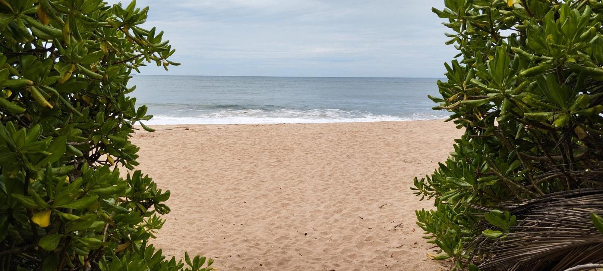 Bed and Breakfast Eco Nest Marakolliya Tangalle Zewnętrze zdjęcie